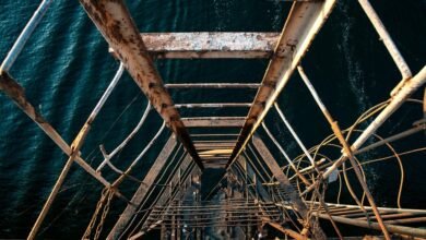 akira nandan s height details