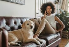 call abandonment peak analysis