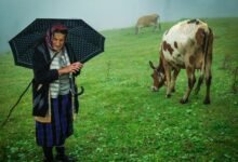 latest weather updates turkey