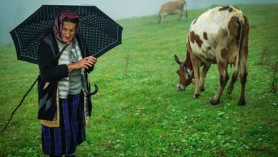 latest weather updates turkey