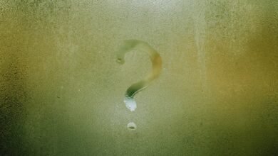 meaning of hanuman chalisa