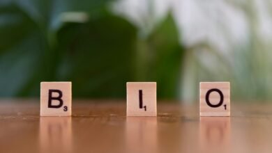 raghumudri satyanarayana s life insights