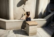 sarath babu s family background