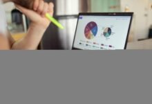 sunshine capital stock tracking