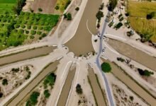 caller risk management division