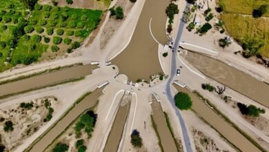 caller risk management division