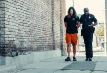 identity protection oversight board