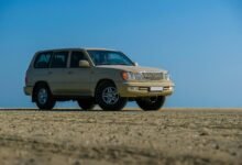 digital platform for stability