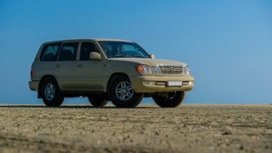 digital platform for stability